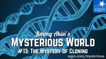MYS013: The Mystery of Cloning