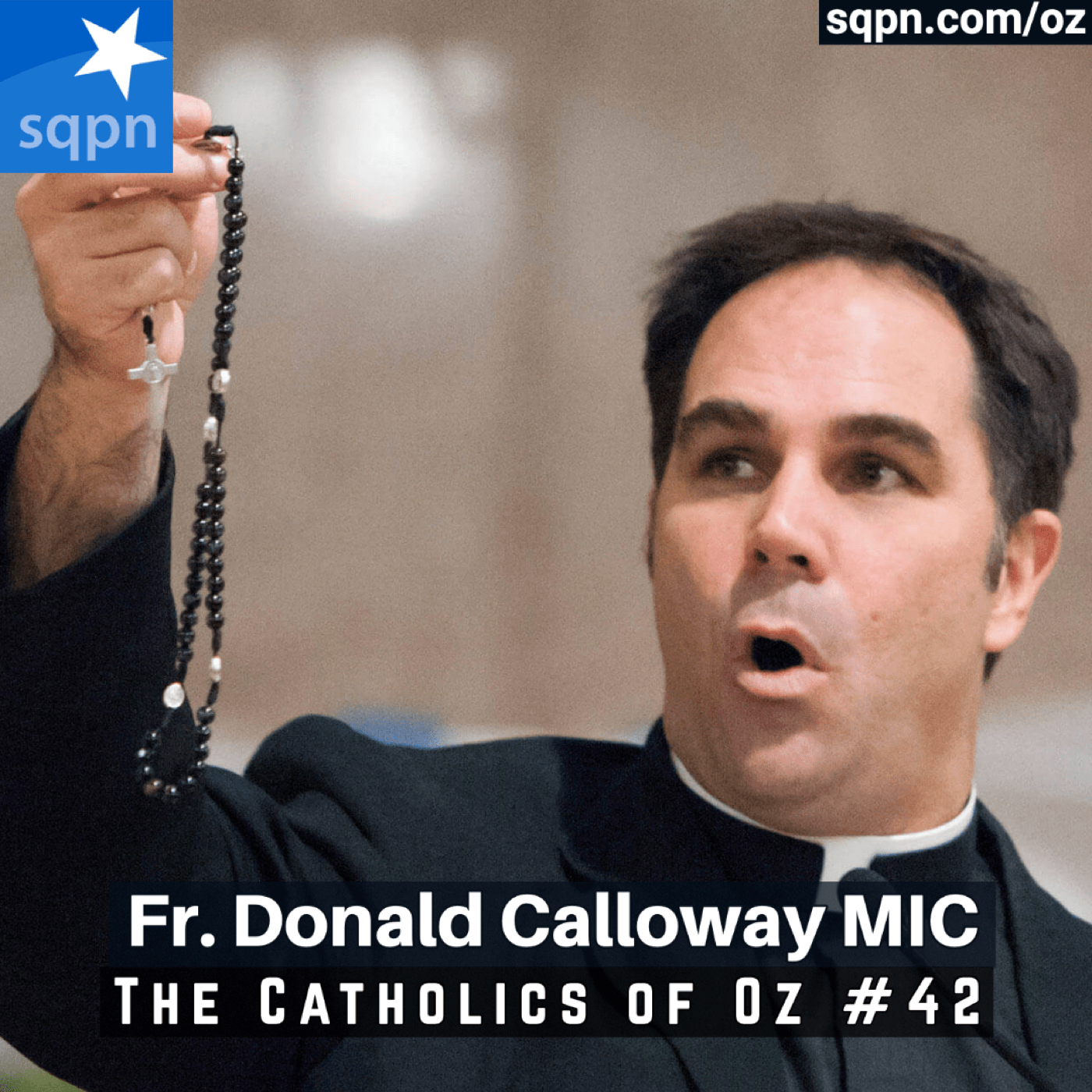 Fr. Donald Calloway, MIC