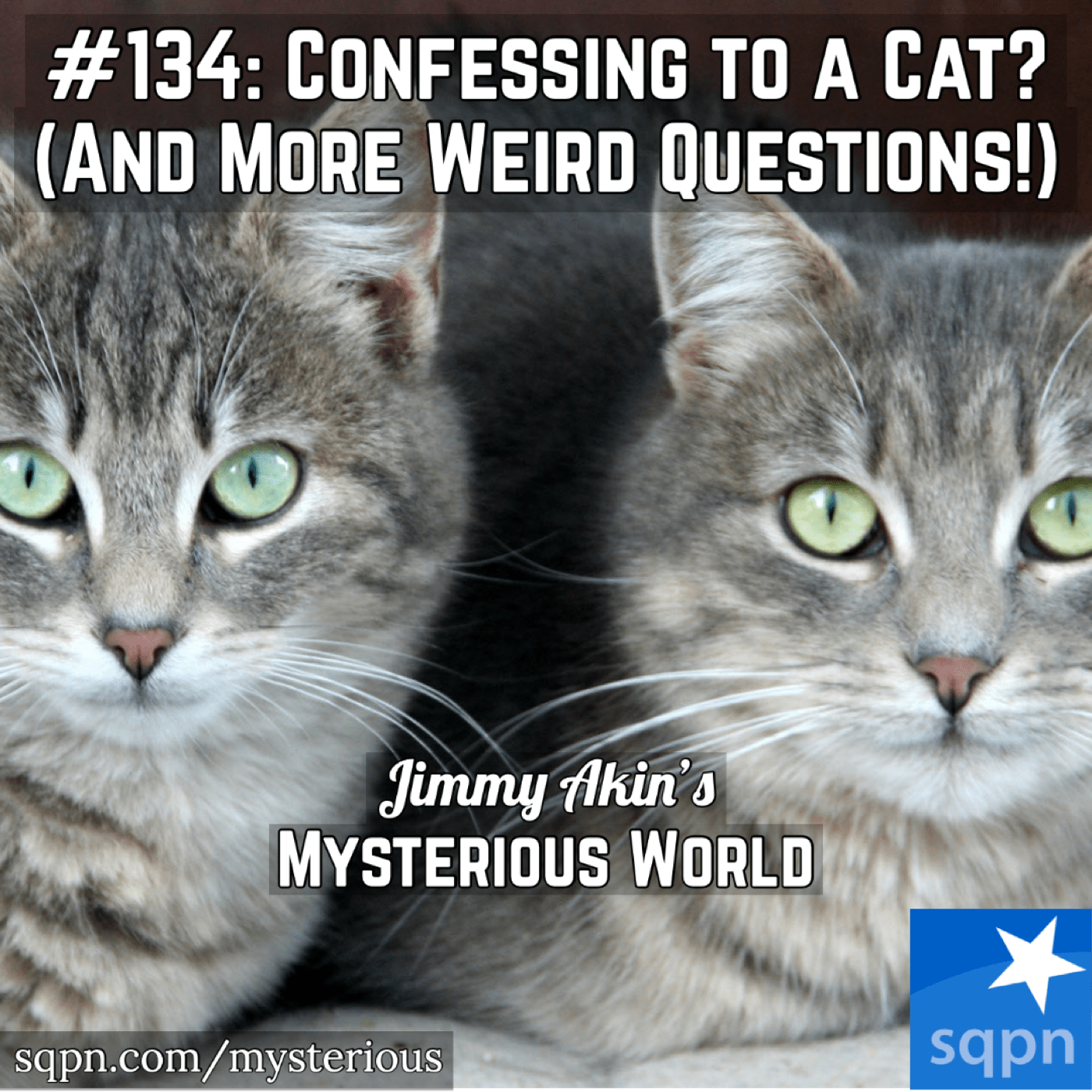 Confessing to a Cat? Satanic Panic? Bodily Mortification? Baptismal Tea? & More Weird Questions