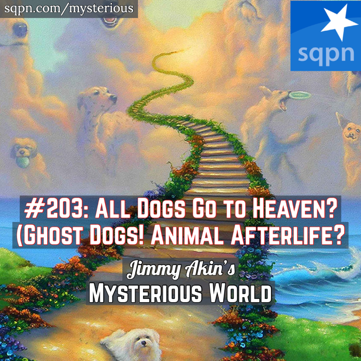 All Dogs Go to Heaven? (Ghost Dogs! Animal Afterlife?)