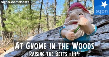 At Gnome in the Woods