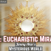 Eucharistic Miracles!