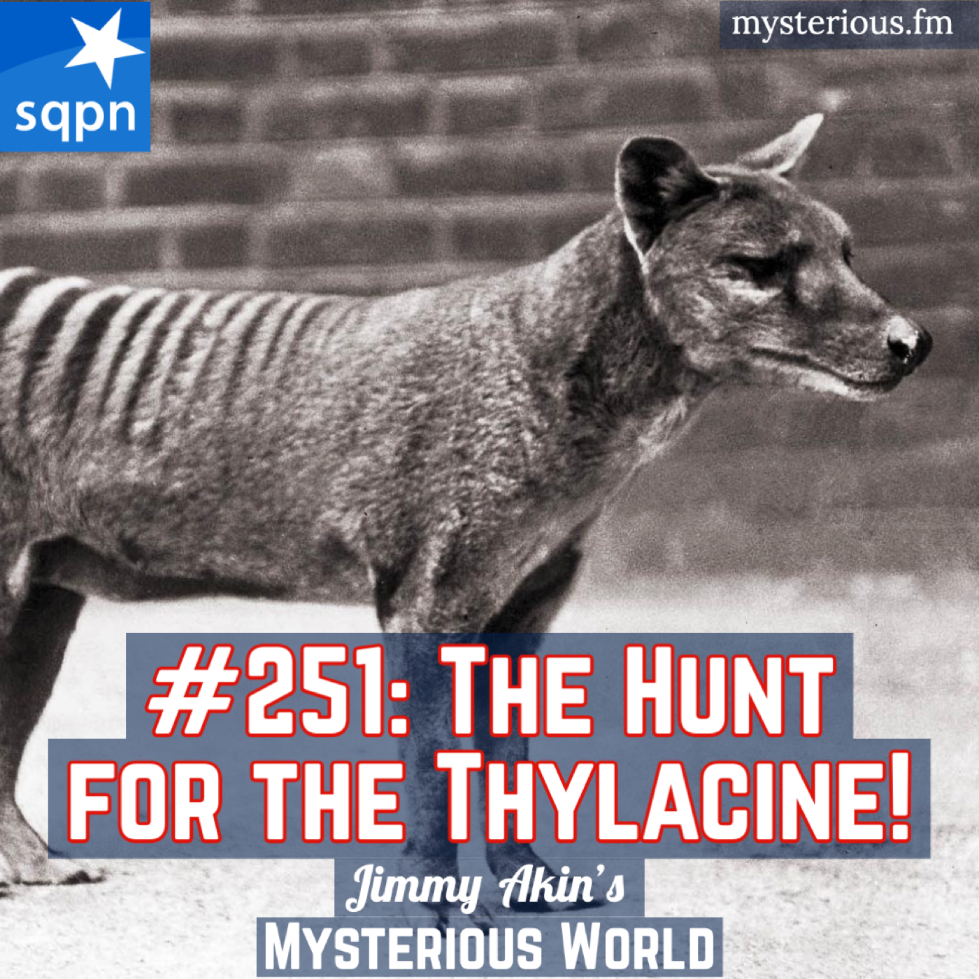 The Hunt for the Thylacine (Tasmanian Tigers, Tasmanian Wolves, Cryptids)