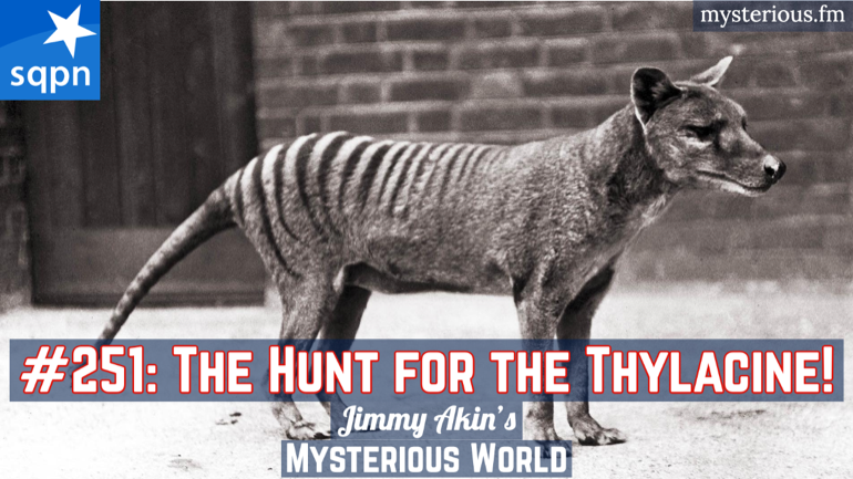 The Hunt for the Thylacine (Tasmanian Tigers, Tasmanian Wolves, Cryptids)
