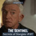 The Sentinel