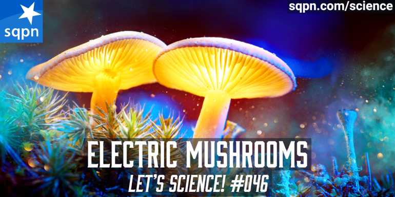 Electric Mushrooms