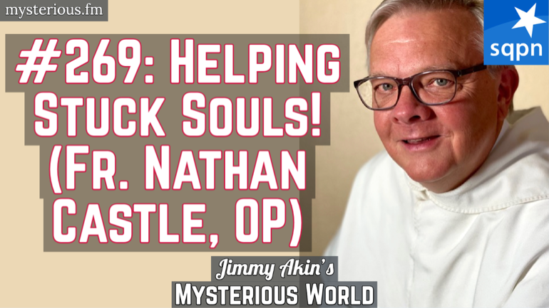 Helping Stuck Souls! (Purgatory, Fr. Nathan Castle, OP)