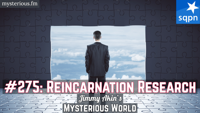 Reincarnation Research (Ian Stevenson)