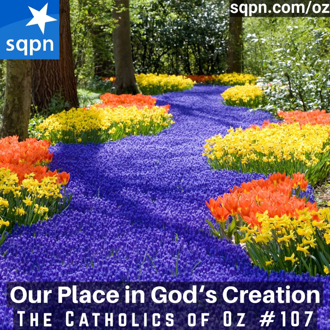 Our Place in God’s Creation