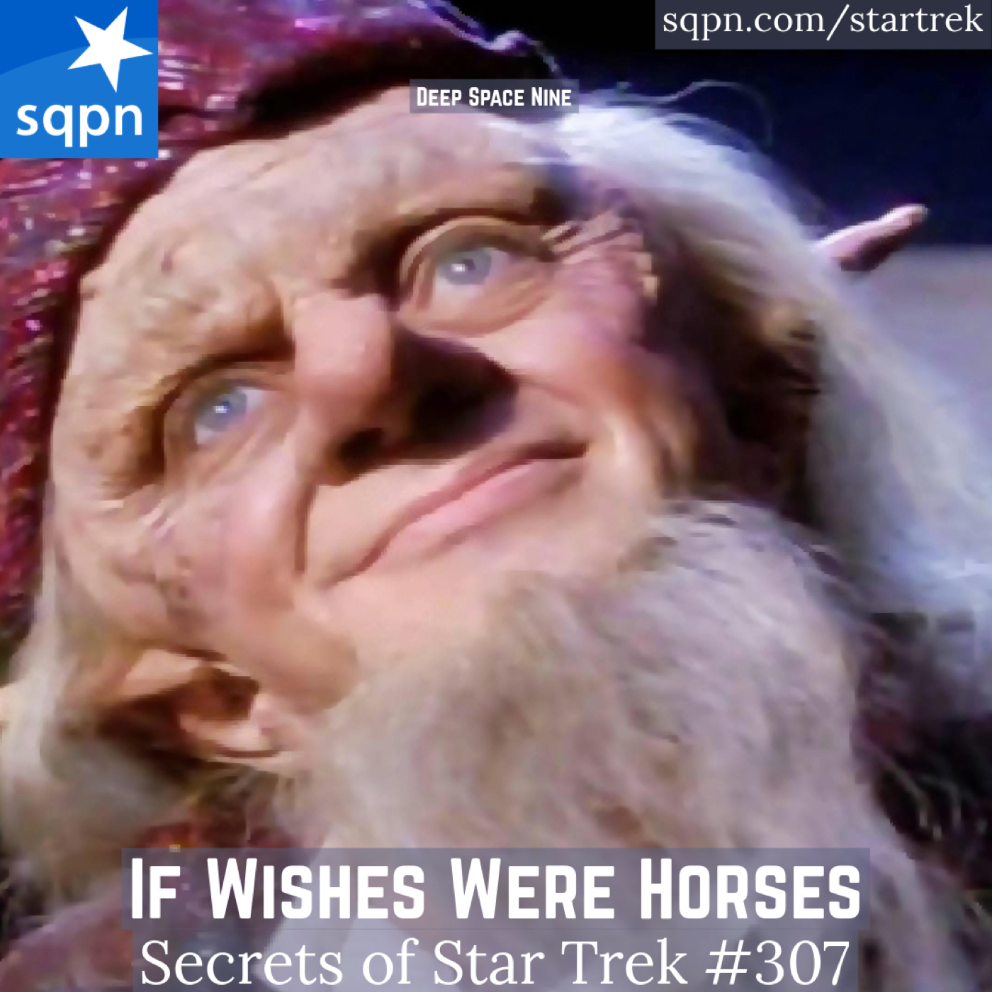 If Wishes Were Horses (DS9)