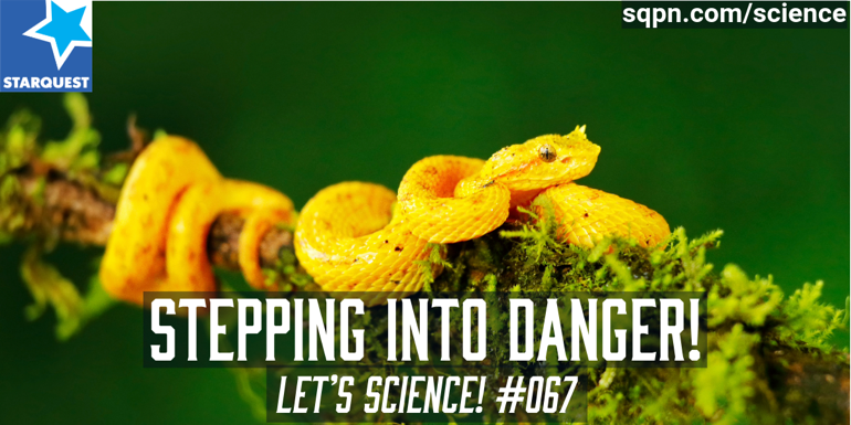 Stepping into Danger: The Scientist Who Danced with Deadly Snakes to Save Lives