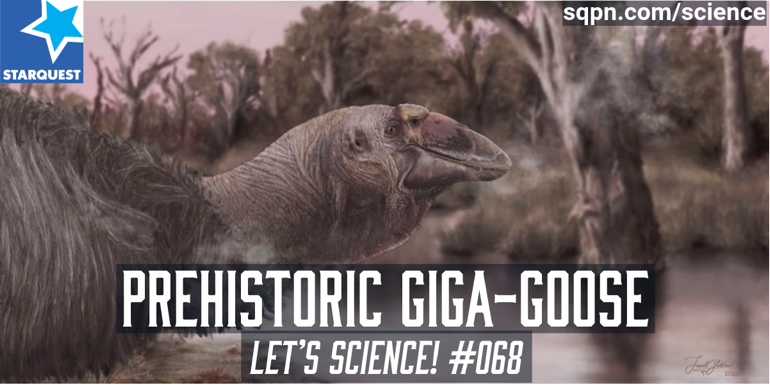 Australia’s Prehistoric Giga-Goose