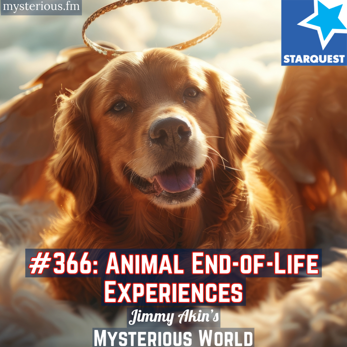 Animal End-of-Life Experiences (Pets, Last Goodbyes, Last Rallies, Crisis Apparitions, Terminal Lucidity, Deathbed Visions, Precognition, etc.)