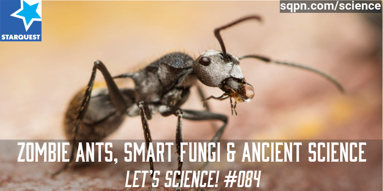 Zombie Ants, Smart Fungi & Ancient Science