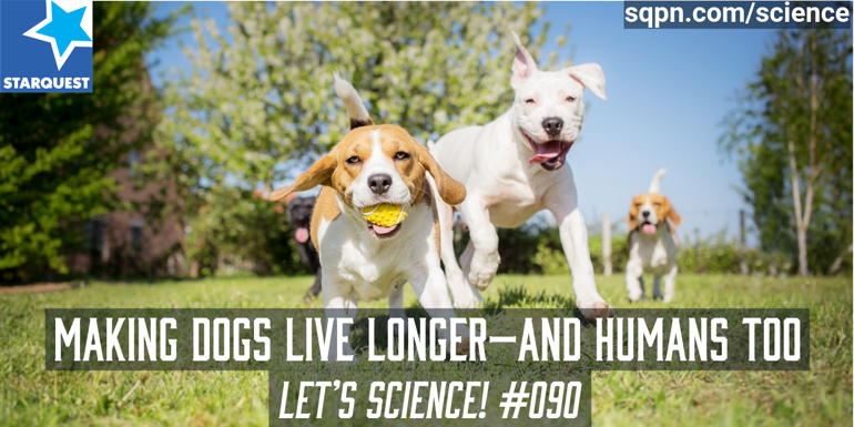 Making Dogs Live Longer—And Humans Too