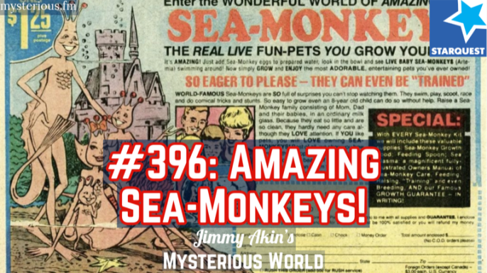 The Amazing Sea-Monkeys!