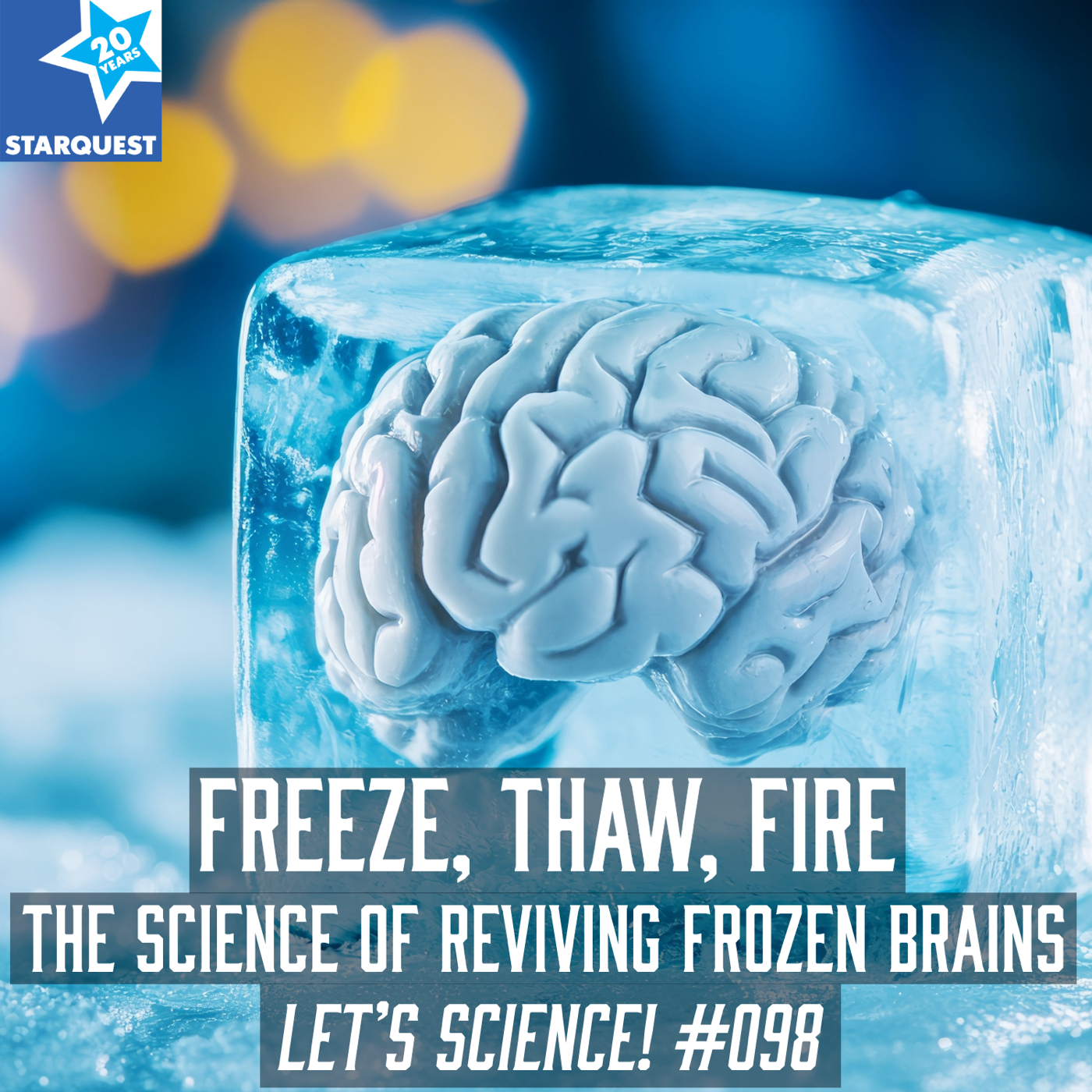 Freeze, Thaw, Fire: The Science of Reviving Frozen Brains
